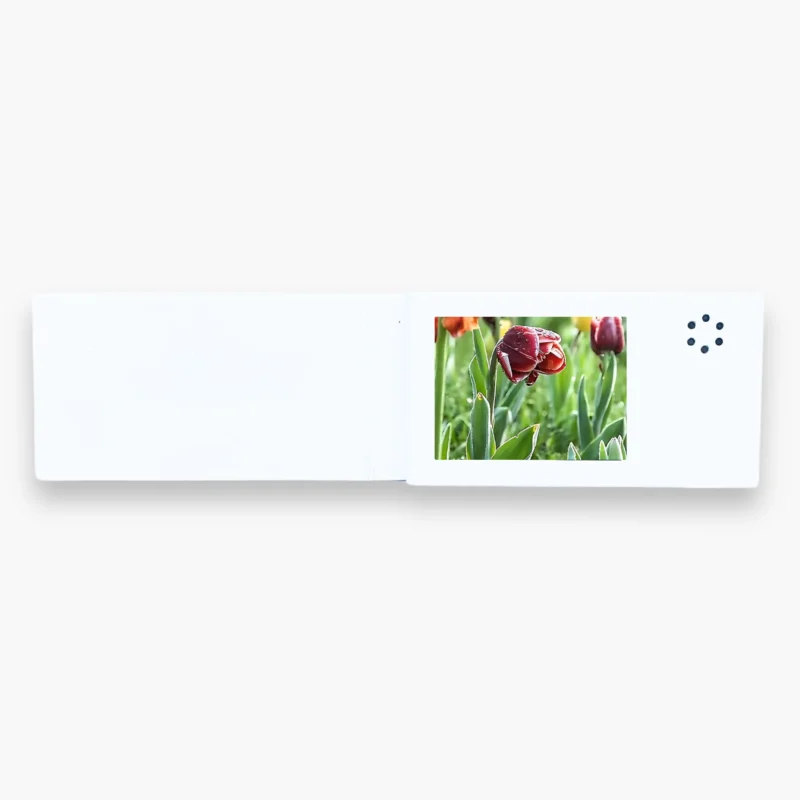 MINI Video Card - Image 8