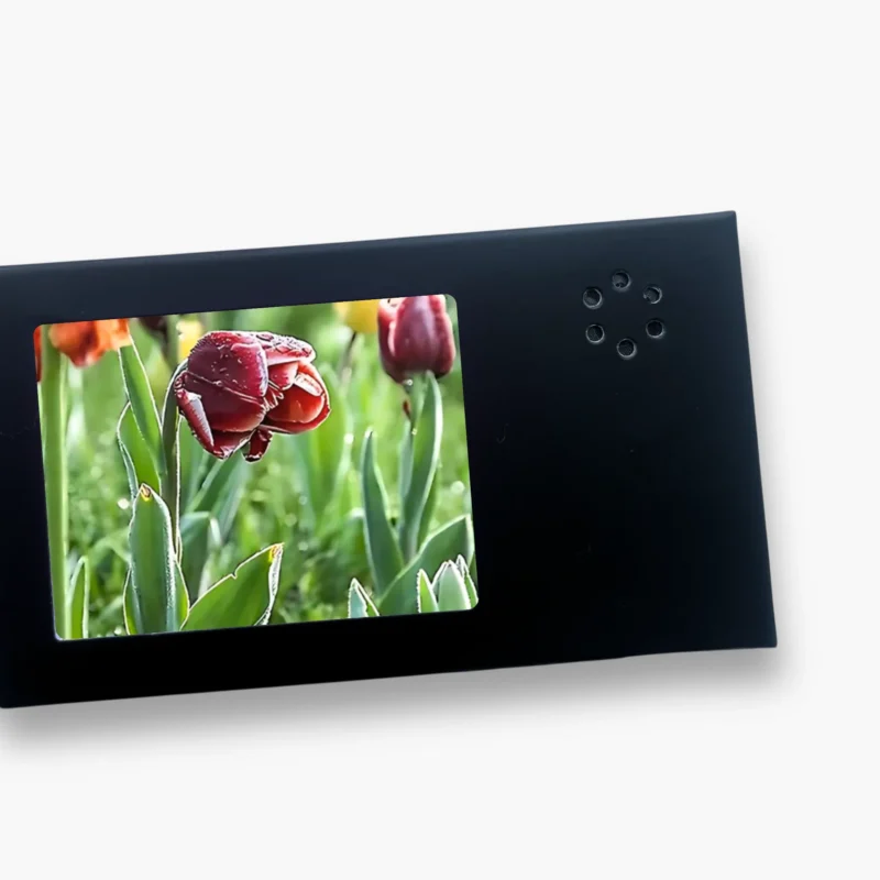 MINI Video Card - Image 2