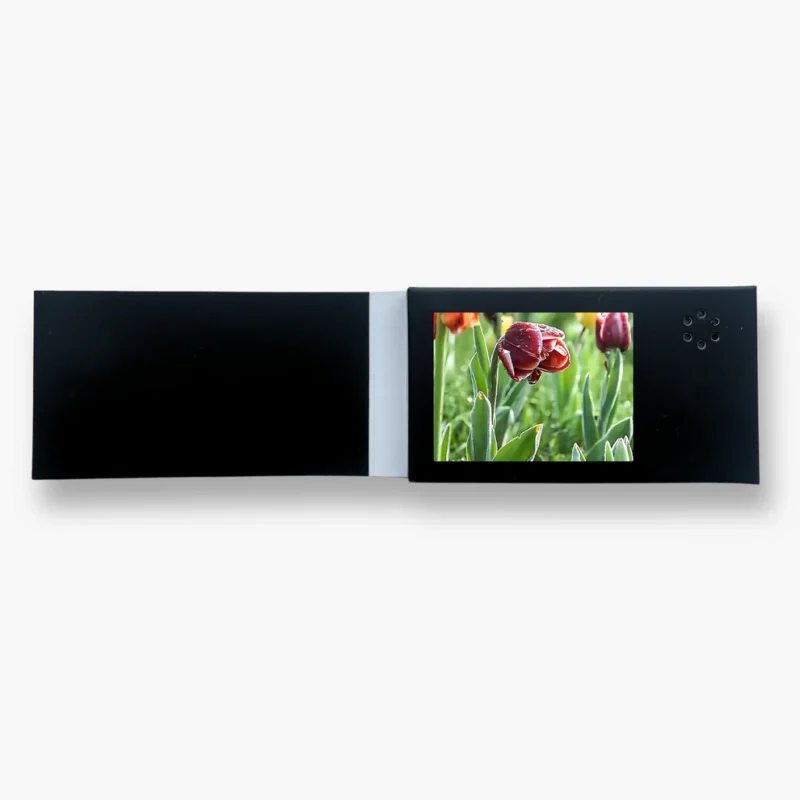 MINI Video Card - Image 6